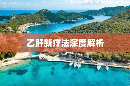 乙肝新療法深度解析