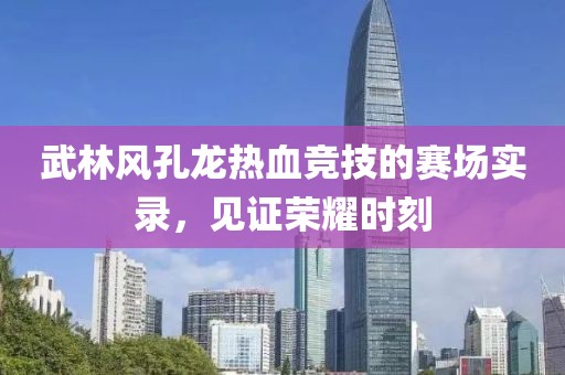 武林風(fēng)孔龍熱血競技的賽場實錄，見證榮耀時刻