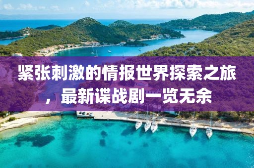 緊張刺激的情報世界探索之旅，最新諜戰(zhàn)劇一覽無余