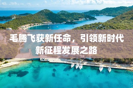 毛騰飛獲新任命，引領(lǐng)新時(shí)代新征程發(fā)展之路