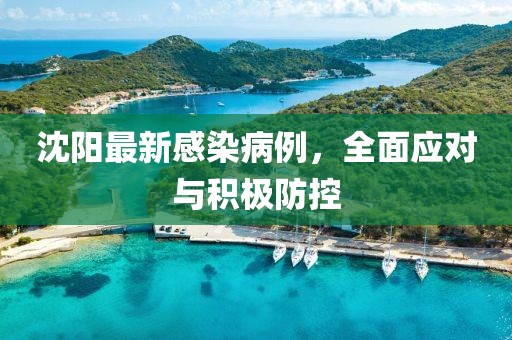 沈陽最新感染病例，全面應對與積極防控