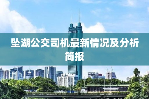 墜湖公交司機最新情況及分析簡報
