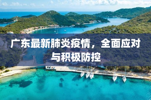 廣東最新肺炎疫情，全面應(yīng)對與積極防控