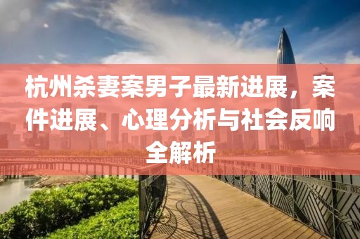 杭州殺妻案男子最新進(jìn)展，案件進(jìn)展、心理分析與社會(huì)反響全解析