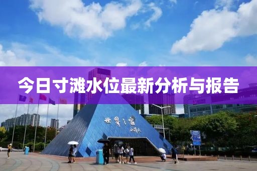 今日寸灘水位最新分析與報告
