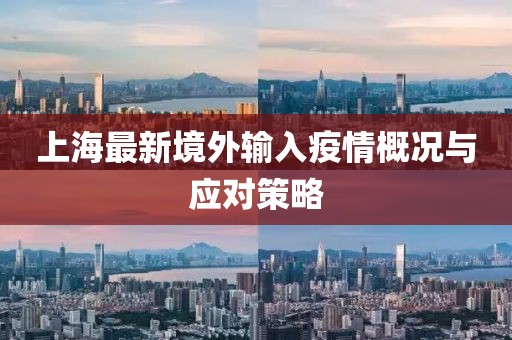 上海最新境外輸入疫情概況與應(yīng)對(duì)策略