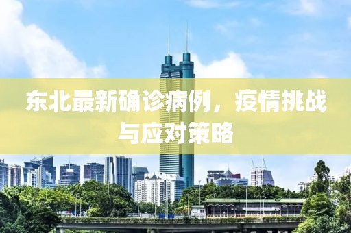 東北最新確診病例，疫情挑戰(zhàn)與應(yīng)對(duì)策略