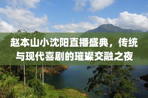 趙本山小沈陽直播盛典，傳統(tǒng)與現(xiàn)代喜劇的璀璨交融之夜