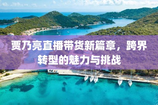 賈乃亮直播帶貨新篇章，跨界轉(zhuǎn)型的魅力與挑戰(zhàn)