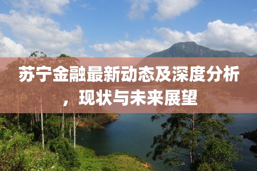 蘇寧金融最新動(dòng)態(tài)及深度分析，現(xiàn)狀與未來(lái)展望