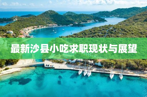 最新沙縣小吃求職現(xiàn)狀與展望