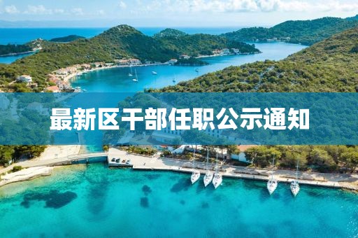 最新區(qū)干部任職公示通知