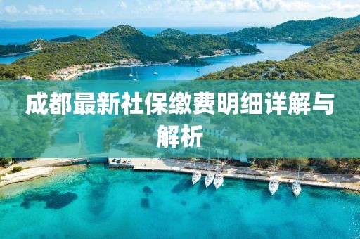 成都最新社保繳費明細(xì)詳解與解析