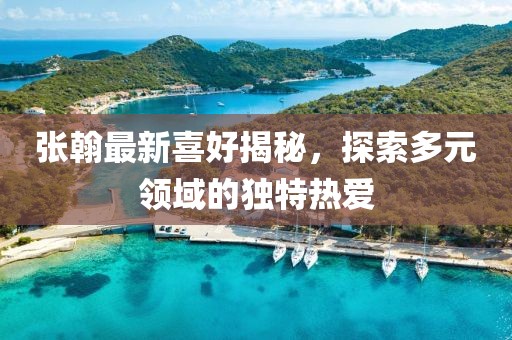 張翰最新喜好揭秘，探索多元領域的獨特熱愛