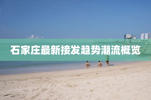 石家莊最新接發(fā)趨勢潮流概覽