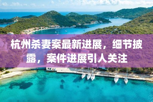 杭州殺妻案最新進(jìn)展，細(xì)節(jié)披露，案件進(jìn)展引人關(guān)注