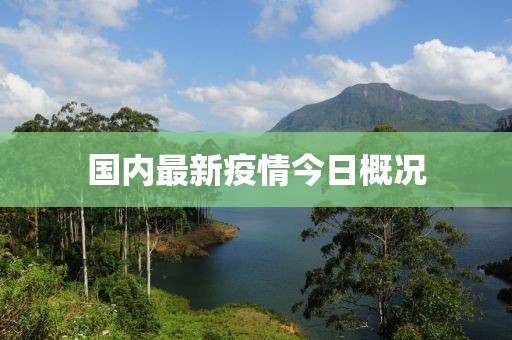 國內(nèi)最新疫情今日概況