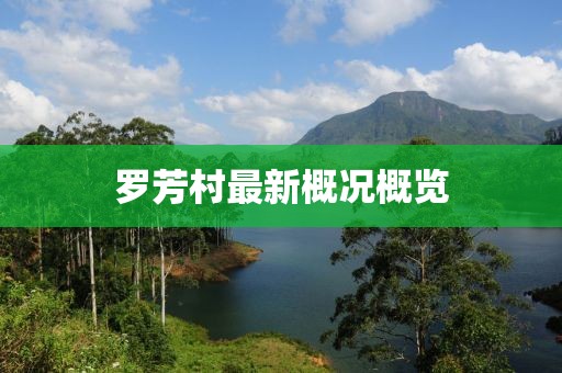 羅芳村最新概況概覽