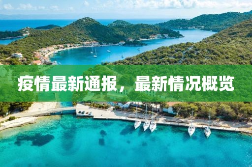 疫情最新通報(bào)，最新情況概覽
