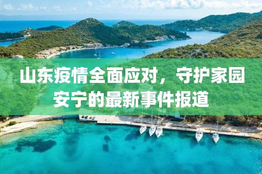 山東疫情全面應(yīng)對(duì)，守護(hù)家園安寧的最新事件報(bào)道