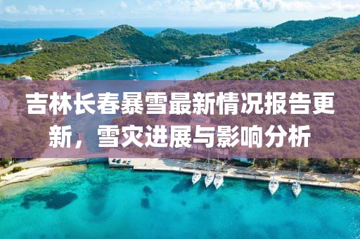 吉林長春暴雪最新情況報告更新，雪災(zāi)進(jìn)展與影響分析