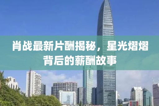 肖戰(zhàn)最新片酬揭秘，星光熠熠背后的薪酬故事