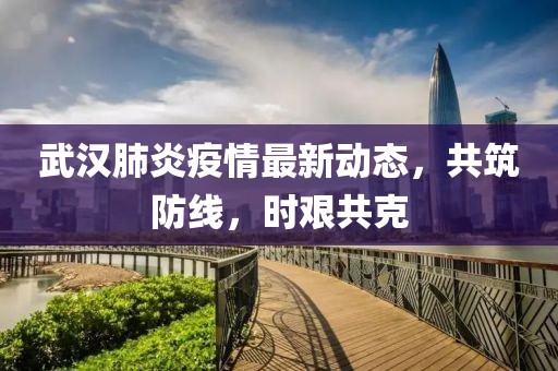 武漢肺炎疫情最新動態(tài)，共筑防線，時艱共克