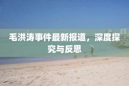毛洪濤事件最新報(bào)道，深度探究與反思