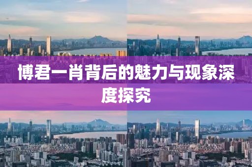 博君一肖背后的魅力與現(xiàn)象深度探究