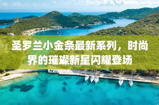 圣羅蘭小金條最新系列，時尚界的璀璨新星閃耀登場