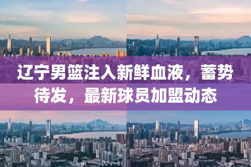 遼寧男籃注入新鮮血液，蓄勢待發(fā)，最新球員加盟動態(tài)