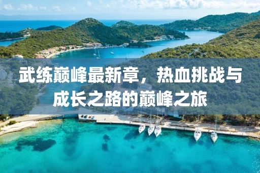 武練巔峰最新章，熱血挑戰(zhàn)與成長(zhǎng)之路的巔峰之旅