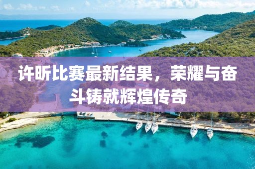 許昕比賽最新結(jié)果，榮耀與奮斗鑄就輝煌傳奇