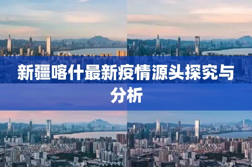 新疆喀什最新疫情源頭探究與分析