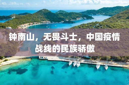 鐘南山，無畏斗士，中國(guó)疫情戰(zhàn)線的民族驕傲