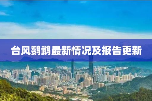 臺(tái)風(fēng)鸚鵡最新情況及報(bào)告更新