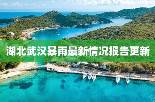 湖北武漢暴雨最新情況報告更新