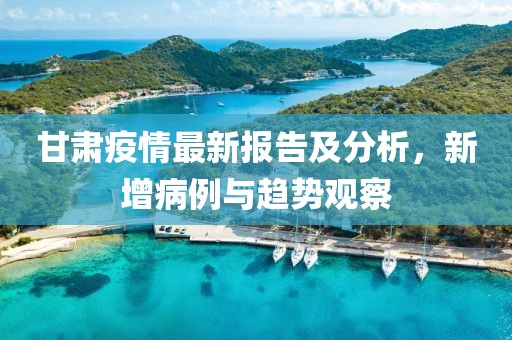 甘肅疫情最新報(bào)告及分析，新增病例與趨勢(shì)觀察