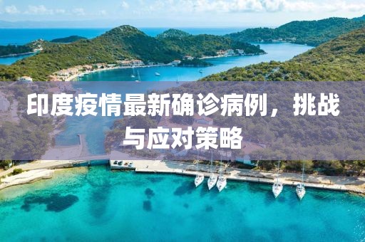 印度疫情最新確診病例，挑戰(zhàn)與應對策略