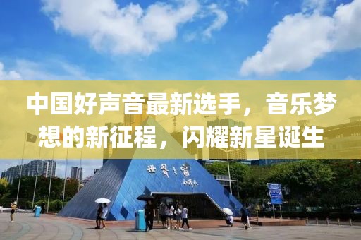 中國(guó)好聲音最新選手，音樂(lè)夢(mèng)想的新征程，閃耀新星誕生