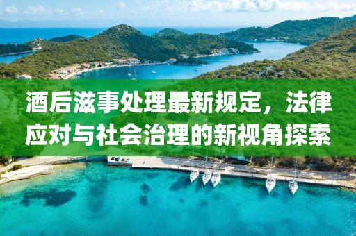 酒后滋事處理最新規(guī)定，法律應(yīng)對與社會治理的新視角探索