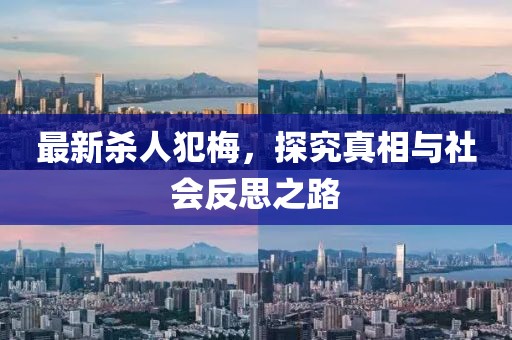 最新殺人犯梅，探究真相與社會反思之路
