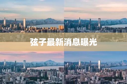 弦子最新消息曝光