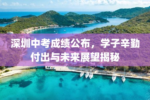 深圳中考成績(jī)公布，學(xué)子辛勤付出與未來(lái)展望揭秘