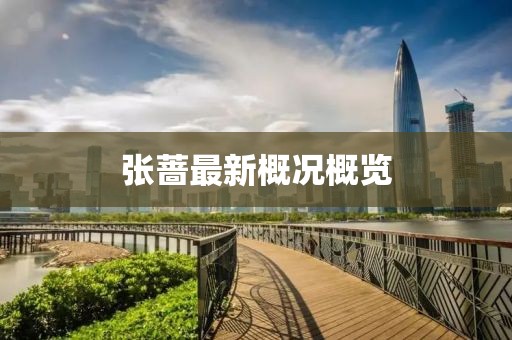 張薔最新概況概覽