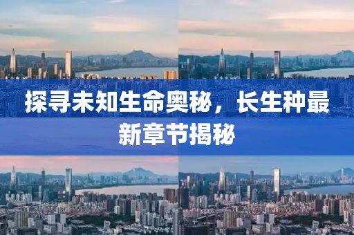 矜暮 第13頁