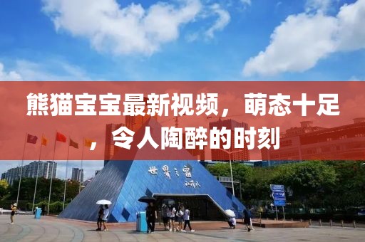 熊貓寶寶最新視頻，萌態(tài)十足，令人陶醉的時刻