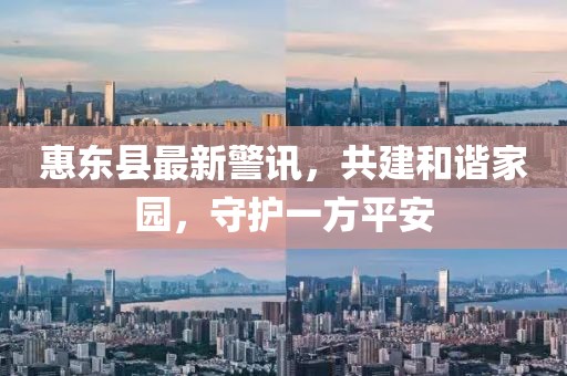 惠東縣最新警訊，共建和諧家園，守護(hù)一方平安