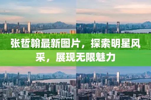 張哲翰最新圖片，探索明星風(fēng)采，展現(xiàn)無限魅力
