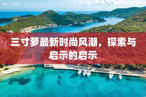三寸蘿最新時(shí)尚風(fēng)潮，探索與啟示的啟示